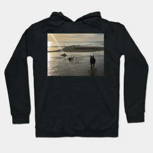 Beach Dog Hoodie